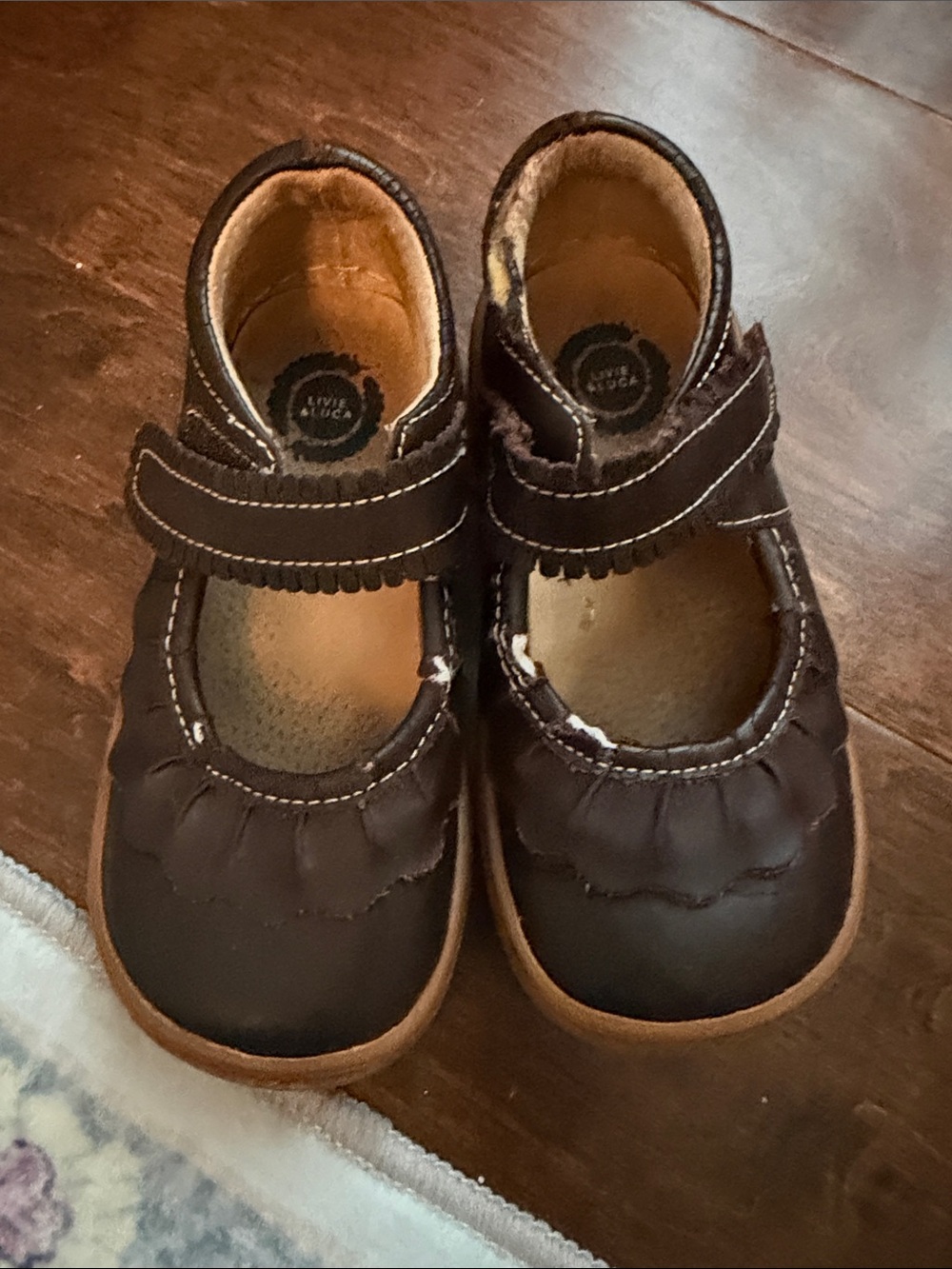 Livie & Luca Dark Brown Mary Jane Strap Shoes